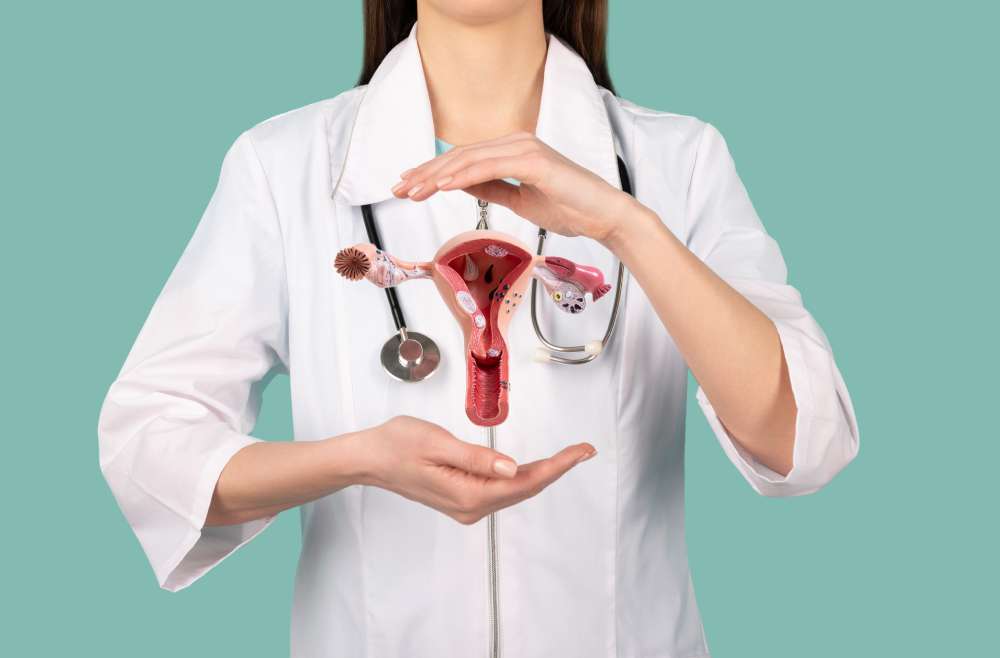Vulva ve Vajen Sağlığı